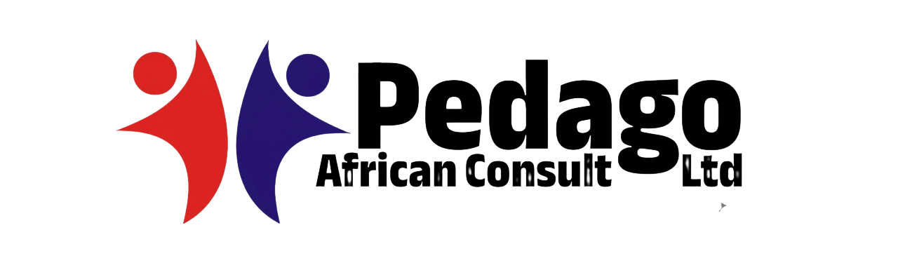 ?php echo get_bloginfo( 'name' ); ?>